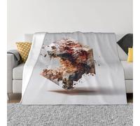 JZSTY Couverture en flanelle anti-boulochage légère et pliable à imprimé minerai mystique pour canapé et extérieur 152,4 x 127 cm