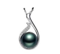 JZWCHQ Collier pour femmes 925 Bijoux en argent avec des accessoires de pendentif de pierre de pierre précieuse en zircon noire en cadeau pour le cadeau de mariage