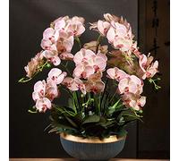 JZWCHQ Grandes Fleurs artificielles - Arrangement d'orchidées artificielles - Fausses orchidées Phalaenopsis Florales avec Vase en céramique - 12 Branches d'orchidées - Bonsaï - Décoration
