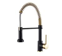 JZWCHQ Robinet de Cuisine avec pulvérisateur à Poil, Robinet de Cuisine de Cuisine Chaude et Froide à poignée, Robinet d'évier de Cuisine pivotant en Laiton de Laiton de Laiton