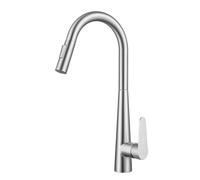 JZWCHQ Robinet de mélangeur de cuisine avec pulvérisation à traction, robinet de cuisine Tire sorti la poignée à poignée simple et froide en acier inoxydable en acier inoxydable pour évier de cuisine