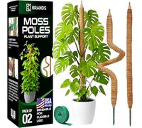 K-Brands Lot de 2 piquets en mousse - Support de plante Monstera de 63,5 cm - Poteaux en mousse pour plantes grimpantes Monstera - Support pliable pour plantes d'intérieur