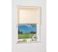 K de Home 541357-3 Wohn-Guide Klemmfix Mini Store, Beige lumière du Jour, Plastique, Tissu, Beige, 100 x 150