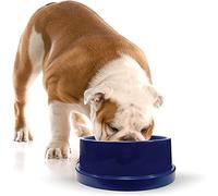 K&H Pet Products, Gamelle d'eau Rafraîchissante pour Chiens Et Chats - 2, 7 Litre pour Chien 2.7 Liter