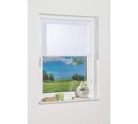 K-Home Mini Store Enrouleur Klemmfix Blanc lumière du Jour l 100 x H 200 cm