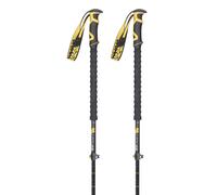K2 Bâtons Carbon Plus
