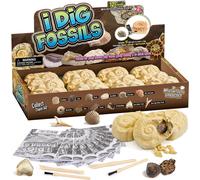 KAAQL-Déterrer 12 Fossiles Kit De Fouilles Faveur De Fête Archéologie Jouets Stem Éducatifs Pour Garçons Filles Enfants Cadeau