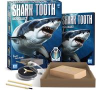 KAAQL-Kit De Fouille Et De Collecte De Dents De Requin,1 Échantillon De Dents De Requin Et 8 Répliques De Dents De Requin Pour Les Garçons Et Les Filles De 6,7,8,9,10 Et 11 Ans
