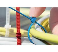 Kabelbinder 196mmx4,8mm Lr55r-N66-Na-Q1 (25St.) HellermannTyton