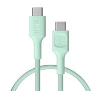 Green Cell Câble USB-C PowerStream 30 cm 100 W PD - Câble de Charge Rapide USB C en Nylon Tressé, Transfert de Données de 480 Mbps, Idéal pour les Batteries Externes et les Voyages (Menthe, 30)