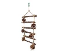 KACCDE Perchoir en bois naturel pour perroquets, conures, perruches, échelle, griffoirs pour petits perroquets