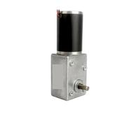 KACGHRDN Moteur à Engrenages Miniature CC 12 V/24 V, autobloquant WS-5882GW-50ZY, Moteur à Engrenages à vis sans Fin Turbo(Motor and Bracket,150RPM,24V)