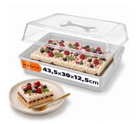 KADAX Boîte à gâteau 43,5 x 30 x 12,5 cm, boîte à gâteau avec couvercle et poignée de transport, boîte de transport rectangulaire en plastique, boîte de transport pour gâteaux en tôle