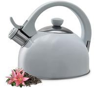KADAX Bouilloire en acier inoxydable 1,7 l - Différentes couleurs - Compacte avec toutes les plaques de cuisson - Flûte rétro (gris)