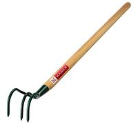 KADAX Cultivateur de désherbage ŕ 3 Dents - Crampons de Mauvaises Herbes - Petite Griffe de Fleur avec Manche - Accessoires de Jardin en métal - houe de Jardin pour desserrer Le Sol (Vert)