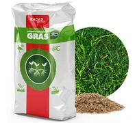 KADAX Graines de gazon, 450-600 m², graines de gazon, gazon à croissance rapide, granulés de gazon, graines de gazon à germination rapide, graines de gazon, graines de gazon résistantes au gel, gazon