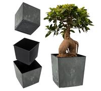KADAX Jardinière Carrée 19.5 cm Béton Noir - Grand Pot de Fleurs en Plastique pour Intérieur et Extérieur, Idéal pour la Décoration de Jardin, Terrasse et Balcon