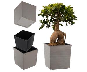 KADAX Jardinière Carrée 19.5 cm Gris Taupe - Grand Pot de Fleurs en Plastique pour Intérieur et Extérieur, Idéal pour la Décoration de Jardin, Terrasse et Balcon