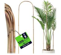 KADAX Lot de 5 tuteurs en bambou en forme de U - 120 cm x 14/16 mm x 15 cm - Arche en bambou solide en forme d'arc - Tuteurs pour plantes grimpantes - Support pour plantes grimpantes