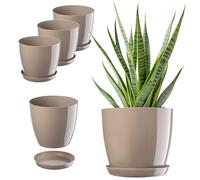 KADAX Lot de Pots Avec Soucoupe - Bac à Fleurs Rond en Plastique Pour l'Intérieur et Plantes d'Intérieur, Herbes Aromatiques (Set 3 : 20 cm, Beige)