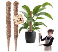 KADAX Monstera Lot de 2 tuteurs en fibre de coco (45 cm), tige de coco et bâton de mousse pour plantes d'intérieur, aide à l'escalade et support pour plantes d'intérieur et d'extérieur