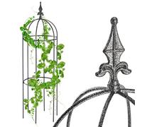 KADAX Obélisque de jardin, support en acier résistant aux intempéries pour plantes grimpantes et à lianes, treillis rond d'extérieur pour roses, cage haute pour vignes (100 cm) KADAX Obélisque de