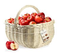 KADAX Panier ovale en osier pour champignons, panier de shopping, panier de pique-nique robuste avec poignée, panier à bouteilles, panier pour le jardin, panier de transport (blanc, 36 x 28 x 27 cm)