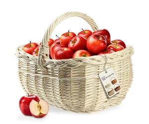 KADAX panier robuste multifonctionnel : panier de shopping, pique-nique, à bouteilles, pour jardin et transport (blanc, 36 x 28 x 27 cm)