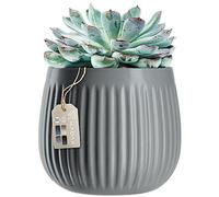 KADAX Pot à fleurs, en céramique avec gaufrage décoratif, pot à plantes, en 4 variantes de couleurs, bac à fleurs pour plantes d'intérieur, en céramique, au design intemporel (14 cm, gris)