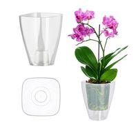 KADAX Pot à fleurs, Pot d'orchidée mince, simple pot de fleurs, seau de fleurs pour orchidée, herbe de garçon, marguerites, décoration pour cuisine et salon (⌀ 12 cm, angulaire, transparent)