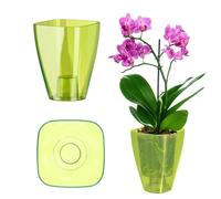 KADAX - Pot à orchidée en plastique de plusieurs couleurs, pot de plantes léger en plusieurs tailles, pot élégant pour salon, bureau et chambre (⌀12 cm, carré, vert)