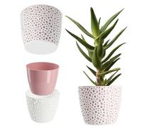 KADAX Pot de Fleurs en Plastique Ø 11-21 cm 5 Couleurs Simple Robuste Rond pour Fougère (Diamètre 17 cm, Rose)