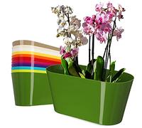 KADAX Pot de fleurs en plastique - 27 x 13 cm - Grand pot ovale - Pour orchidées, bellis, pensées, drazènes (vert)