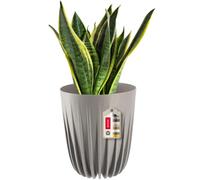 KADAX Pot de Fleurs en Plastique avec des matériaux naturels, Pots de Fleurs Modernes, Pot de Fleurs à Motif géométrique, Pot de Fleurs Rond avec Insert (∅ 14,5 cm, Gris)