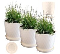 KADAX Pot de Fleurs en Plastique avec Soucoupe, Pot de Plante pour Une Décoration Florale Moderne dans l'espace Interieur (Lot de 3 : Crème, 18 cm)