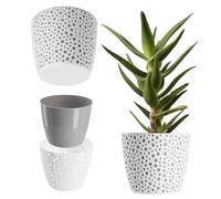 KADAX Pot de fleurs en plastique - Diamètre : 11 à 21 cm - 5 couleurs - Pot simple et robuste - Protection ronde pour fougère - Diamètre : 13 cm - Gris