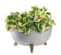 KADAX Pot de Fleurs en Plastique sur Trois Pieds, Effet Bois Élégant pour Sublimer la Décoration de Votre Maison et Jardin, Intérieur et Extérieur (Gris, 39.5 cm)