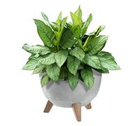 KADAX Pot de Fleurs en Plastique sur Trois Pieds, Effet Bois Élégant pour Sublimer la Décoration de Votre Maison et Jardin, Intérieur et Extérieur (Gris, 29 cm)