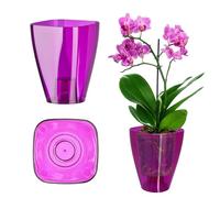 KADAX Pot de fleurs fin pour orchidée, pot d'orchidée, herbeuse, marguerite, pot de fleurs pour cuisine et salon (ø 9 cm, carré, prune)
