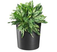 KADAX Pot de Fleurs Graphite 30 cm - en Plastique et Copeaux de Bois Recyclés pour Une Décoration Rustique et Authentique, Idéal pour l'Intérieur ou l'Extérieur