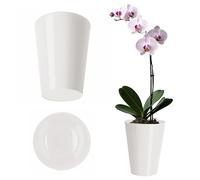 KADAX Pot de fleurs, pot à orchidées élancé, bac à plantes sobre, pot de fleurs pour orchidée, orchis, marguerites, cache-pot pour cuisine et salon (⌀ 13cm, rond, blanc)