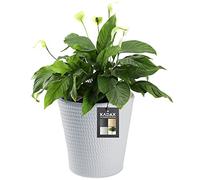 KADAX Pot de fleurs, pot de jardin en plastique en 3 couleurs, jardinière, pot de fleurs résistant aux intempéries avec surface mate, pot de jardin extérieur (Gris ø 40 cm)