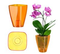 KADAX Pot de fleurs, pot d'orchidée élégant, pot de plantes simple, pot de fleurs pour orchidée, barbe de Jupiter, marguerite, cache-pot pour cuisine et salon (⌀ 9cm, carré, Orange)