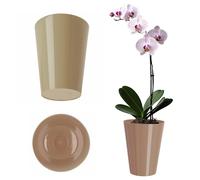 KADAX Pot d'Orchidée Simple, Rond pour Juvénile, Marguerite - Cuisine et Salon (Diamètre 13 cm, Beige)