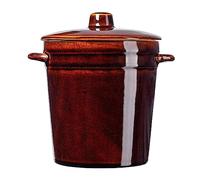 KADAX Pot en grès, pot en céramique avec poignées latérales et couvercle, pot en grès résistant au lave-vaisselle, pot de fermentation artisanal en céramique, pot de conserve pour cornichons (2 L