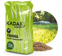 KADAX Semences de Gazon Universelles Épaississement Rapide Pelouse Résistantes 1kg 40M2
