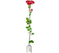 KADAX Support de Plantes en Acier sur Pied pour Roses, Plantes grimpantes, Lierre de Jardin résistant aux intempéries, Support pour Plantes grimpantes, Support de Rangement Noir Höhe: 140 cm Noir