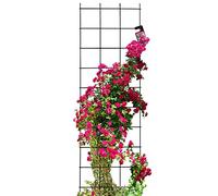 KADAX Treillis mural en acier pour plantes, jardin, balcon, terrasse, grille métallique, aide à l'escalade, treillis, treillis, fixation murale, noir (45 x 150 cm)