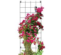 KADAX Treillis mural en acier pour plantes, jardin, balcon, terrasse, grille métallique, aide à l'escalade, grille pour plantes, treillis, fixation murale, noir (65 x 170 cm)
