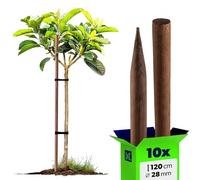 KADAX Tuteur en bois, bâtons de plantation imprégnés, bâton pour plantes grimpantes, tige résistante aux intempéries, bâton pour fleurs, treillis, piquets en bois, piquets (10, 28 mm x 120 cm)